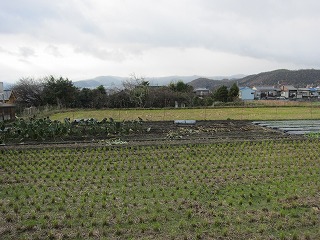一乗寺地域の田園風景