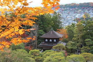 慈照寺