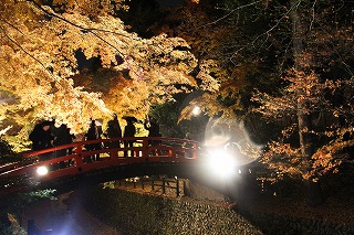 北野天満宮・史跡御土居のもみじ苑