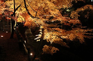 北野天満宮・史跡御土居のもみじ苑