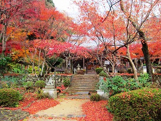 勝持寺