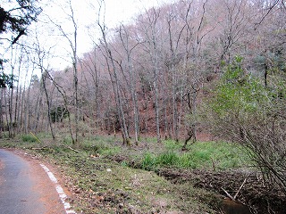 杉谷集落付近の湿地帯