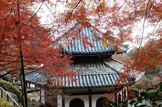 善峯寺・多宝塔