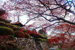 善峯寺