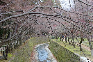 御土居
