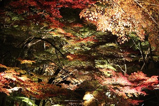 毘沙門堂門跡の紅葉