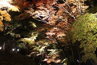 毘沙門堂門跡の紅葉