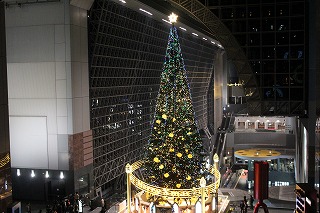 京都駅のクリスマスツリー