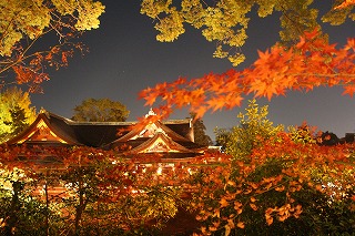 紅葉越しに本殿を眺望