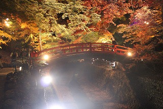 鶯橋と紅葉
