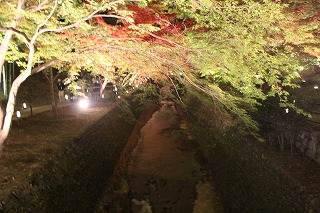 紙屋川