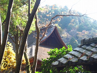 高山寺・石水院