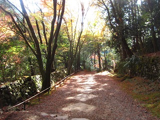 高山寺・表参道