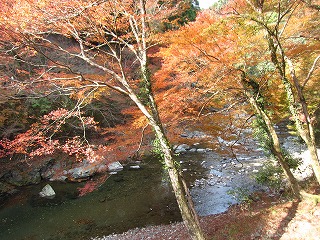 清滝川と紅葉