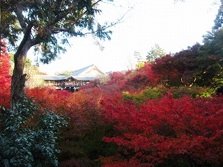 臥雲橋より眺める通天橋
