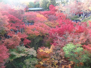 通天橋の紅葉