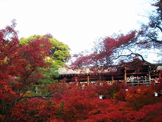通天橋と紅葉