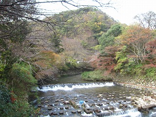 八瀬・高野川の景観