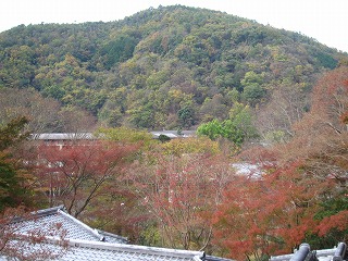 瑠璃光院と東山