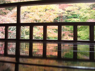 床もみじ