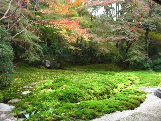 瑠璃の庭