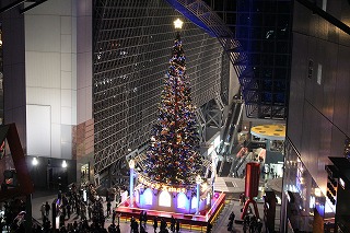 京都駅のクリスマスツリー