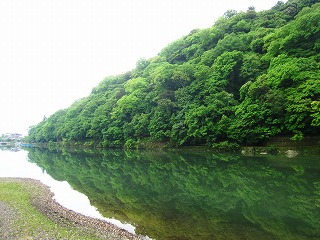 嵐山の新緑