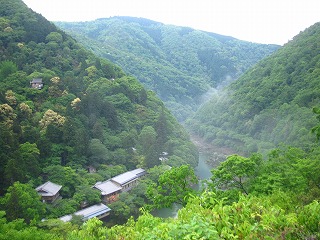保津峡を望む