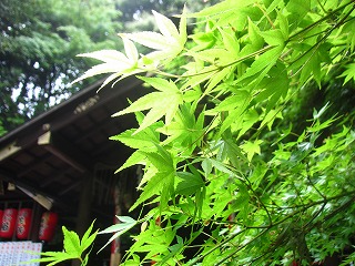 野宮神社