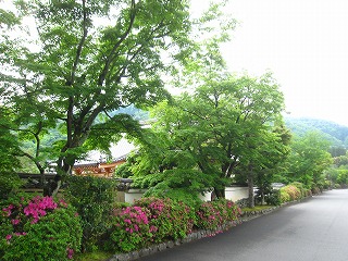 天龍寺参道