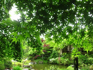退蔵院・池泉回遊式庭園