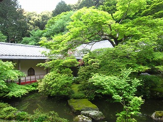 実相院・池泉式庭園