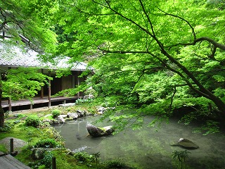 蓮華寺庭園