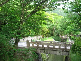哲学の道