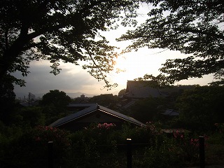 哲学の道から望む夕景