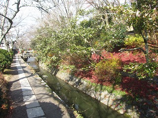 哲学の道の風景