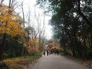 糺の森・下鴨神社参道