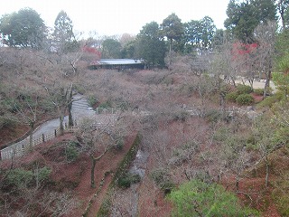 東福寺