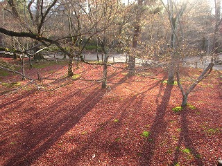 東福寺
