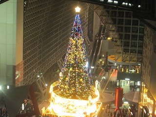 京都駅構内のツリー