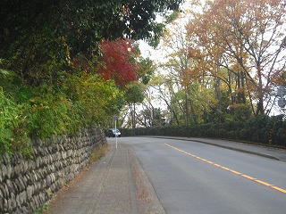 きぬかけの路の風景