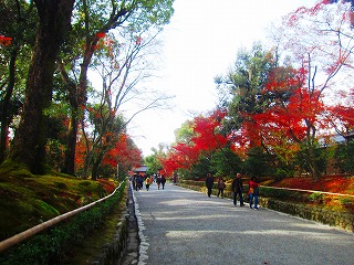 鹿苑寺参道