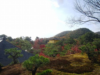 鹿苑寺・夕佳亭から望む金閣