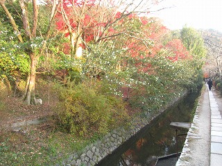 哲学の道の景観