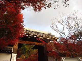 禅林寺総門