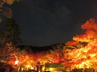 禅林寺