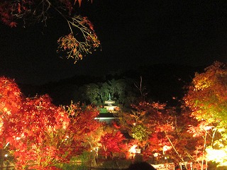 禅林寺・多宝塔を望む