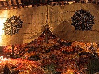 禅林寺・阿弥陀堂・幕越しの紅葉