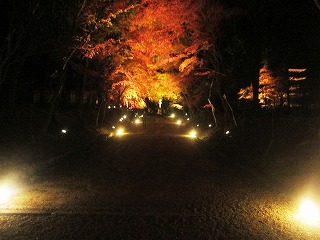 醍醐寺