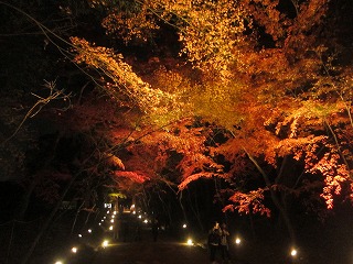 醍醐寺